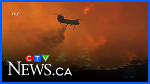 FireBozz Featured on CTV News