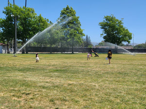 FireBozz wildfire sprinkler spraying water during live demo at 2025 Wildfire & Earthquake Expo