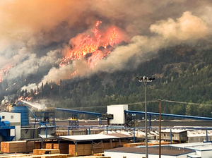 FireBozz saved Adam Lake Mill